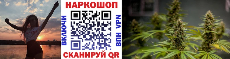 Какие есть наркотики Злынка Cocaine МАРИХУАНА Мефедрон ГАШ