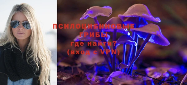 2c-b Ельня