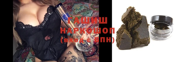 2c-b Ельня