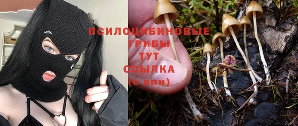 2c-b Ельня