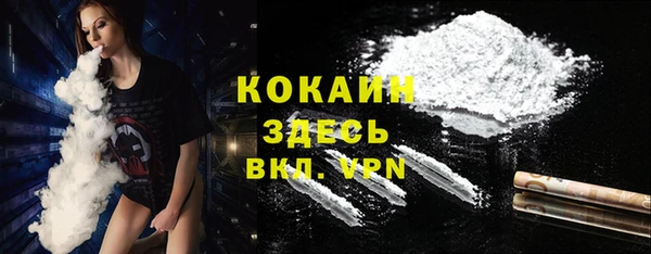 2c-b Ельня