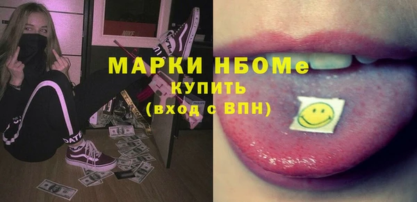 2c-b Ельня