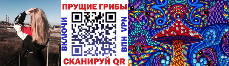 Псилоцибиновые грибы GOLDEN TEACHER  дарк нет как зайти  Злынка 
