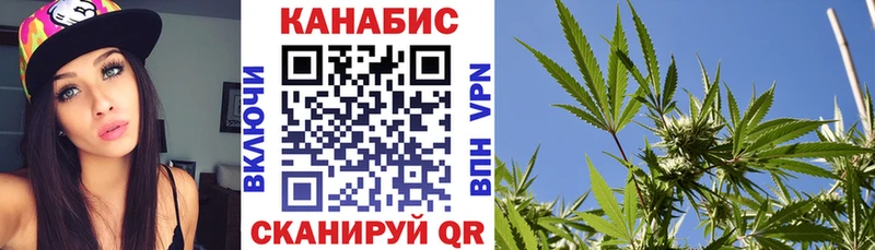 Канабис семена  Злынка 
